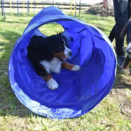 Schaeferhund בית נופש *