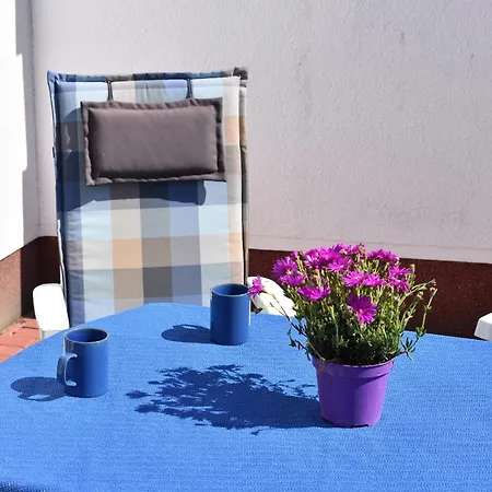 Schaeferhund טיסואו