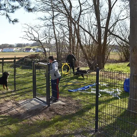 Schaeferhund בית נופש